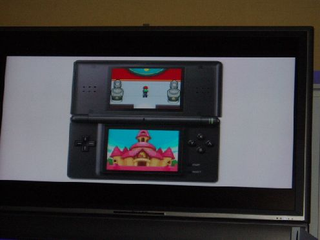 Illustration for article titled EA May Have Gotten An Early Look at DSi, New WiiWare Announcement Today